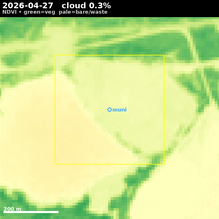 NDVI view